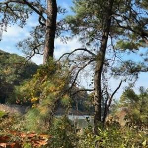 Photo #18 of Lot 8 HARBOUR LN, CAPE CHARLES, VA 2.1 acres