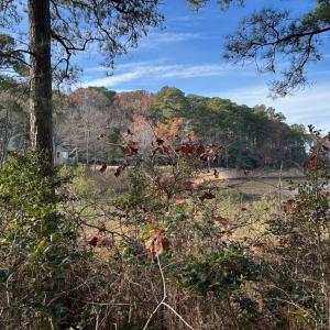 Photo #24 of Lot 8 HARBOUR LN, CAPE CHARLES, VA 2.1 acres