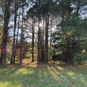 Photo #5 of Lot 8 HARBOUR LN, CAPE CHARLES, VA 2.1 acres