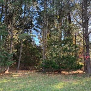 Photo #6 of Lot 8 HARBOUR LN, CAPE CHARLES, VA 2.1 acres