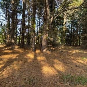 Photo #7 of Lot 8 HARBOUR LN, CAPE CHARLES, VA 2.1 acres