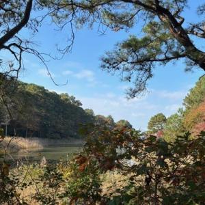 Photo #8 of Lot 8 HARBOUR LN, CAPE CHARLES, VA 2.1 acres