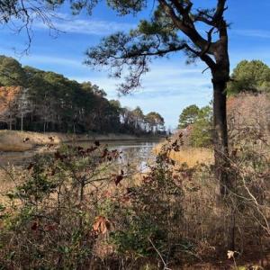Photo #2 of HARBOUR LN, CAPE CHARLES, VA 2.1 acres