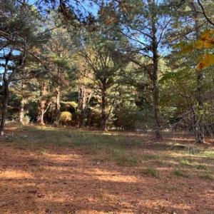 Photo #3 of HARBOUR LN, CAPE CHARLES, VA 2.1 acres