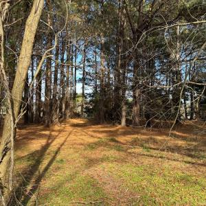 Photo #4 of HARBOUR LN, CAPE CHARLES, VA 2.1 acres