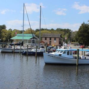 Onancock harbor