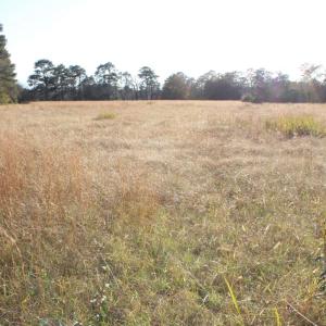 cleared for your new home