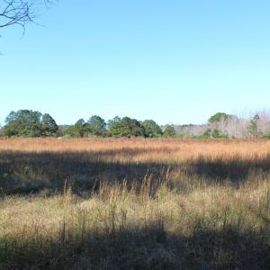 Photo #18 of lot 3 ,4 MINK FARM RD, ONANCOCK, VA 12.0 acres
