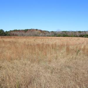 Photo #9 of lot 3 ,4 MINK FARM RD, ONANCOCK, VA 12.0 acres