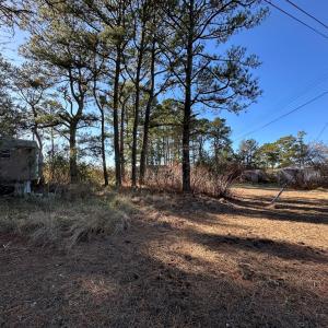 Photo #3 of 7539* DOE BAY LANE, CHINCOTEAGUE, VA 4.9 acres