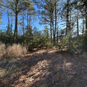 Photo #4 of 7539* DOE BAY LANE, CHINCOTEAGUE, VA 4.9 acres