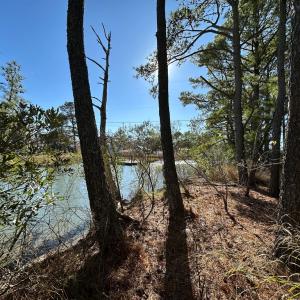 Photo #5 of 7539* DOE BAY LANE, CHINCOTEAGUE, VA 4.9 acres