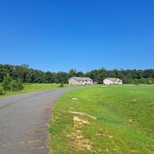 Photo #3 of Lot 29 WHITE TAIL LANE, MELFA, VA 1.5 acres