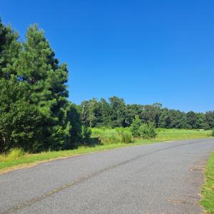 Photo #4 of Lot 29 WHITE TAIL LANE, MELFA, VA 1.5 acres
