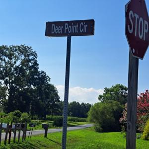 Photo #5 of Lot 29 WHITE TAIL LANE, MELFA, VA 1.5 acres