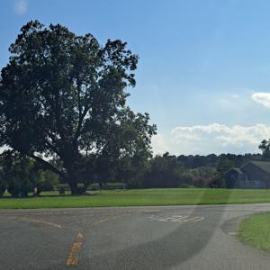 Photo #6 of Lot 29 WHITE TAIL LANE, MELFA, VA 1.5 acres