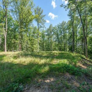 Photo #14 of LOT H-8 HIGHTOP DR, NORTH GARDEN, VA 24.1 acres