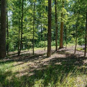 Photo #15 of LOT H-8 HIGHTOP DR, NORTH GARDEN, VA 24.1 acres