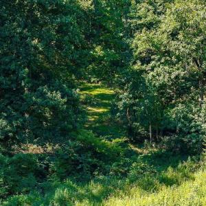 Photo #18 of LOT H-8 HIGHTOP DR, NORTH GARDEN, VA 24.1 acres