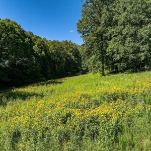 Photo #20 of LOT H-8 HIGHTOP DR, NORTH GARDEN, VA 24.1 acres