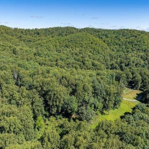 Photo #29 of LOT H-8 HIGHTOP DR, NORTH GARDEN, VA 24.1 acres