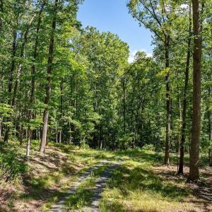 Photo #11 of LOT H-8 HIGHTOP DR, NORTH GARDEN, VA 24.1 acres