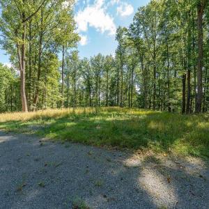 Photo #13 of LOT H-8 HIGHTOP DR, NORTH GARDEN, VA 24.1 acres
