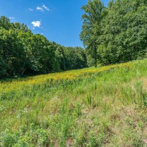 Photo #21 of LOT H-8 HIGHTOP DR, NORTH GARDEN, VA 24.1 acres