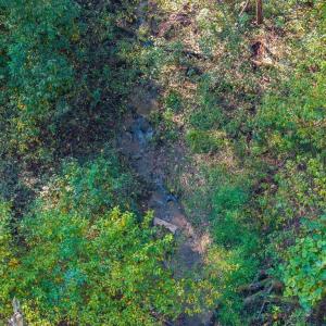 Photo #24 of LOT H-8 HIGHTOP DR, NORTH GARDEN, VA 24.1 acres