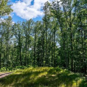 Photo #9 of LOT H-8 HIGHTOP DR, NORTH GARDEN, VA 24.1 acres