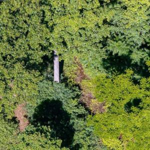 Photo #36 of LOT H-8 HIGHTOP DR, NORTH GARDEN, VA 24.1 acres