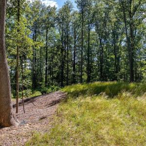 Photo #12 of LOT H-8 HIGHTOP DR, NORTH GARDEN, VA 24.1 acres