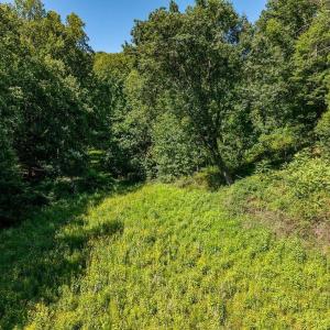 Photo #19 of LOT H-8 HIGHTOP DR, NORTH GARDEN, VA 24.1 acres