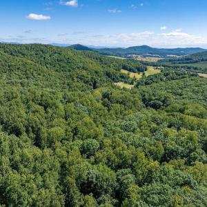 Photo #33 of LOT H-8 HIGHTOP DR, NORTH GARDEN, VA 24.1 acres