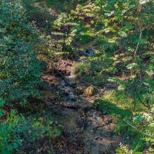 Photo #22 of LOT H-8 HIGHTOP DR, NORTH GARDEN, VA 24.1 acres