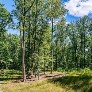 Photo #10 of LOT H-8 HIGHTOP DR, NORTH GARDEN, VA 24.1 acres