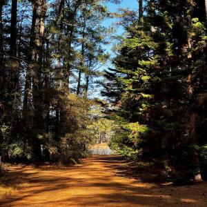 Photo #2 of Lot 19 FOLLY CREEK CLUB LN, ACCOMAC, VA 0.5 acres