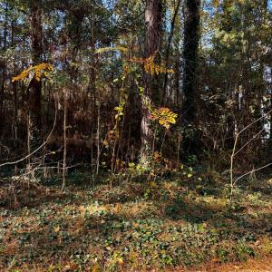 Photo #3 of Lot 19 FOLLY CREEK CLUB LN, ACCOMAC, VA 0.5 acres