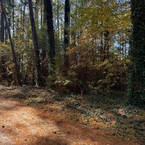 Photo #4 of Lot 19 FOLLY CREEK CLUB LN, ACCOMAC, VA 0.5 acres