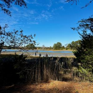 Photo #5 of Lot 19 FOLLY CREEK CLUB LN, ACCOMAC, VA 0.5 acres