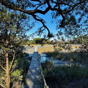 Photo #6 of Lot 19 FOLLY CREEK CLUB LN, ACCOMAC, VA 0.5 acres