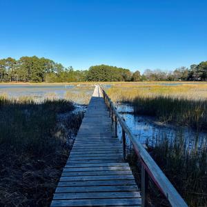 Photo #7 of Lot 19 FOLLY CREEK CLUB LN, ACCOMAC, VA 0.5 acres