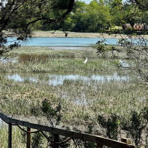 Photo #10 of Lot 19 FOLLY CREEK CLUB LN, ACCOMAC, VA 0.5 acres