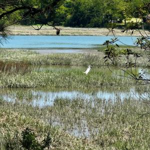 Photo #11 of Lot 19 FOLLY CREEK CLUB LN, ACCOMAC, VA 0.5 acres