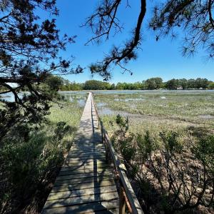 Photo #12 of Lot 19 FOLLY CREEK CLUB LN, ACCOMAC, VA 0.5 acres