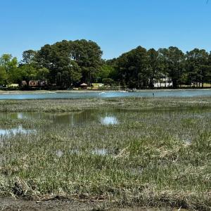 Photo #13 of Lot 19 FOLLY CREEK CLUB LN, ACCOMAC, VA 0.5 acres
