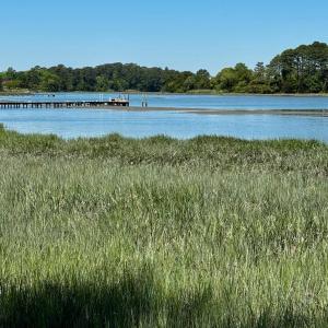 Photo #14 of Lot 19 FOLLY CREEK CLUB LN, ACCOMAC, VA 0.5 acres