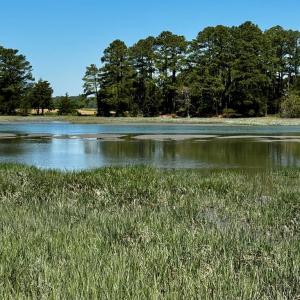 Photo #15 of Lot 19 FOLLY CREEK CLUB LN, ACCOMAC, VA 0.5 acres