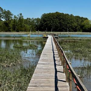 Photo #16 of Lot 19 FOLLY CREEK CLUB LN, ACCOMAC, VA 0.5 acres