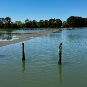 Photo #20 of Lot 19 FOLLY CREEK CLUB LN, ACCOMAC, VA 0.5 acres